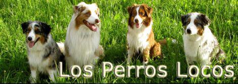 www.los-perros-locos.ch